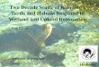 Turtle and Habitat Response to Wetland and Upland Restoration