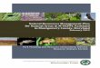 Natural Resources Management Plan for Natural Areas in M 