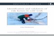 Identification and validation of risk factors in cold work