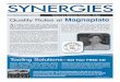 SYNERGIES Focus on India–