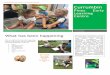 CURRUMBIN PINES EARLY LEARNING CENTRE Issue 1 Currumbin