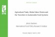 Agricultural Trade, Global Value Chains and the Transition 
