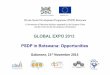 GLOBAL EXPO 2013 PSDP in Botswana: Opportunities