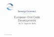 Eurpean Grid Code Developments SEC1