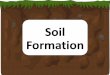 Soil Formation - vicarageparkschool.org.uk