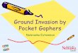 Ground Invasion by Pocket Gophers - pested.unl.edu