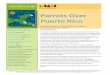 Parrots Over Puerto Rico - Reading Is Fundamental