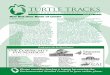TURTLE TRACKS - escmc.org