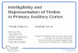 Intelligibility and Representation of Timbre in Primary 