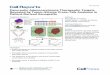 Pancreatic Adenocarcinoma Therapeutic Targets Revealed by 