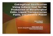 Coking/Coal Gasification Using Indiana Coal for the 