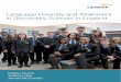 Language Diversity and Attainment in Secondary Schools