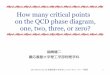 How many critical points on the QCD phase diagram, one 