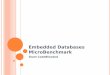 Embedded Databases MicroBenchmark