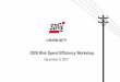 OEIS Risk Spend Efficiency Workshop