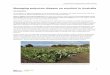 Managing potyvirus disease on zucchini in Australia