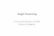Angel Financing 2012 - Labouseur