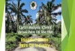 Introduction to Palm Oil Industry