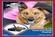 Spring Training Cards - PetSafe