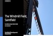 The Windmill Field, Saintfield
