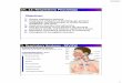 Ch. 12: Respiratory Physiology