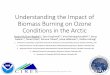 Understanding the Impact of Biomass Burning on Ozone 