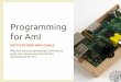 Programming for AmI - PoliTO