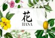 HANA 花 - Entrepreneurship