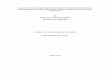 A CONCEPTUAL FRAMEWORK FOR EFFECTIVE CORPORATE …