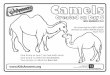 Coloring Page for Web - Camels