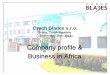 Company profile & Business in Africa