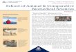 School of Animal & Comparative Biomedical Sciences
