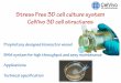 Stress Free 3D cell culture system CelVivo 3D cell structures