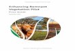 Enhancing Remnant Vegetation Pilot Pricing Guide