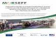 MorSEFF | Morocco Sustainable Energy Finance Facility