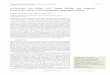 Escherichia coli Nissle 1917 forms biofilm and outgrows 