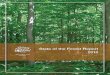 State of the Forest Report - Prince Edward Island
