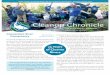 Cleanup Chronicle