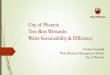 City of Phoenix Tres Rios Wetlands: Water Sustainability 