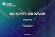 2021 ACTIVITY 2022 OUTLOOK