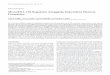 Behavioral/Cognitive MicroRNA-182RegulatesAmygdala 