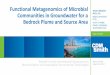Functional Metagenomics of Microbial