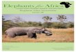 Elephant Tales Newsletter Issue 20 - Elephants For Africa