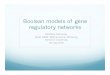 Boolean models of gene regulatory networks