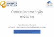 O músculo como órgão endócrino - sbemsc.org.br