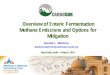 Overview of Enteric Fermentation Methane Emissions and 