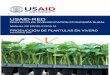 USAID RED Manual Produccion 01 Plantulas 11 05 COMP