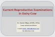Current Reproductive Examinations in Dairy Cow