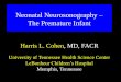 Neonatal Neurosonography The Premature Infant