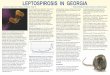 LEPTOSPIROSIS IN GEORGIA